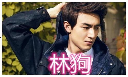 哪个明星外号鲸鱼,揭秘华语乐坛巨星的璀璨人生